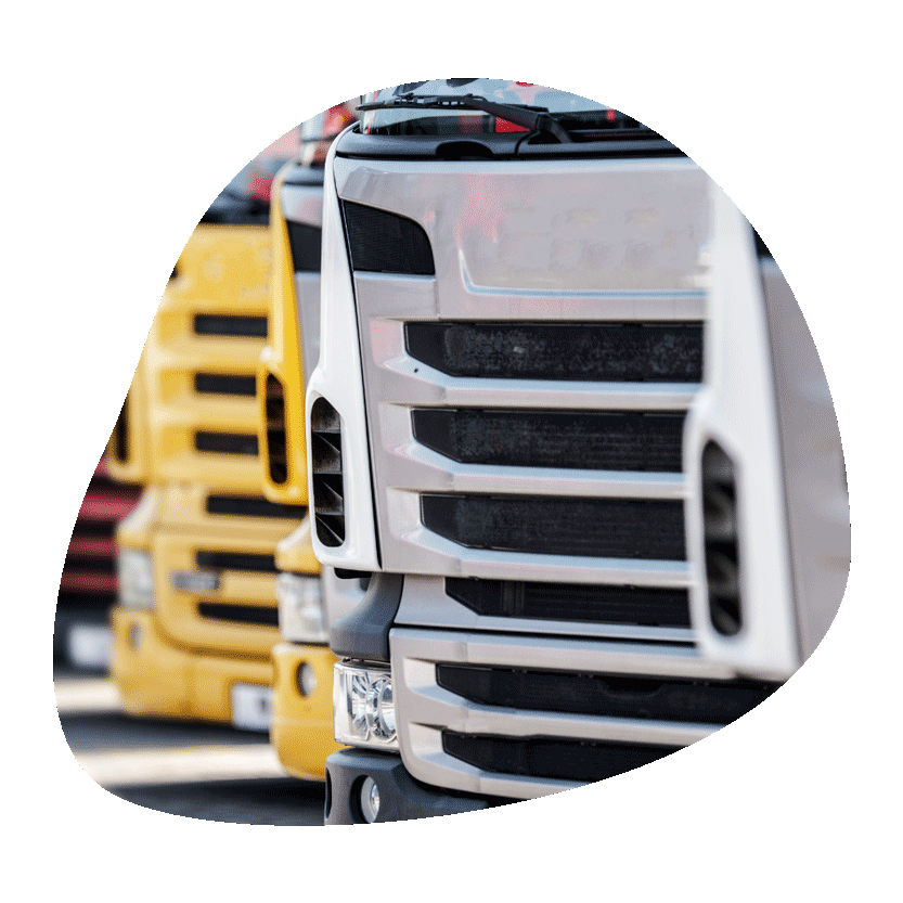 Row of trucks parked side by side